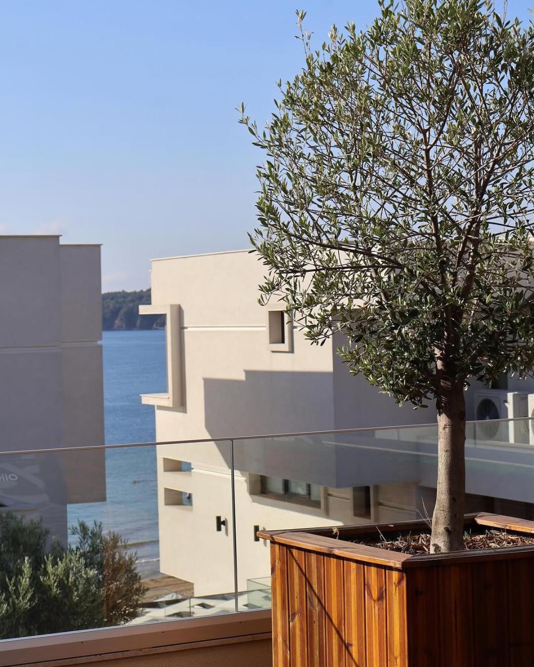 סוזופול Olive Villas Beach Hotel מראה חיצוני תמונה